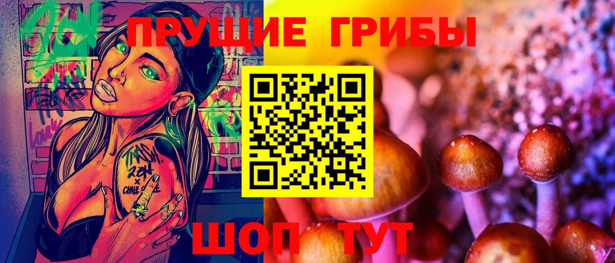 Славгород  Галлюциногенные грибы прущие грибы  Вход с VPN 